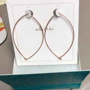 Stella and Dot Earrings